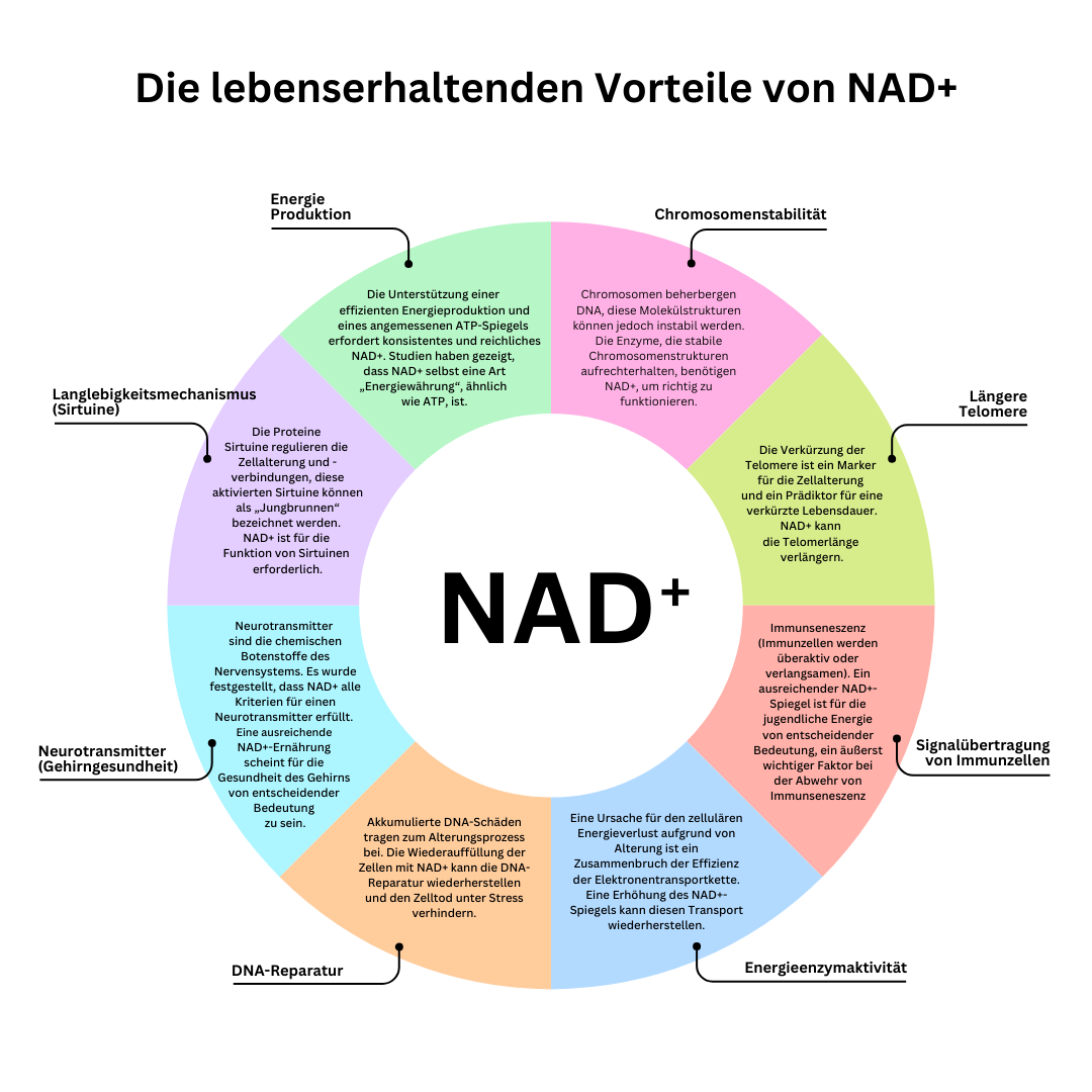 Die lebenserhaltenden Vorteile von NAD+